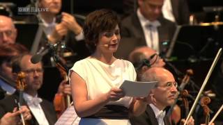 Katharina Stemberger liest Text von Maja Haderlap  Fest der Freude 2015 [upl. by Ahsaei664]