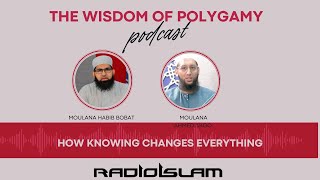 The Wisdom of Polygamy Truths Myths and Coming to Terms [upl. by Jereld385]