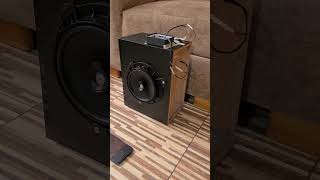 Jbl go 2 con parlante Focal sound test Michael Jackson [upl. by Lundeen329]