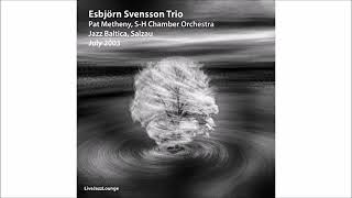 Esbjörn Svensson Trio with Pat Metheny 2003 Jazz Baltica [upl. by Midan772]