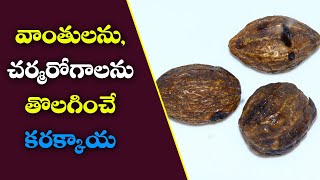 వాంతులను చర్మరోగాలను తొలగించే కరక్కాయ karakkaya useskarakkaya uses for skin [upl. by Chaffin144]