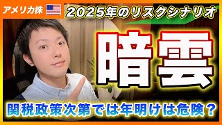 【2025年のリスク】関税政策次第では年明けの米国株はぐっちゃぐちゃになるかもしれません。。【アメリカ株・Nasdaq・SP500・DJI】 [upl. by Hoy509]