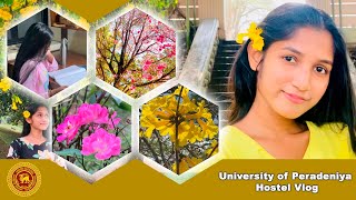 University of Peradeniya Hostel life Vlog  EDU with DULANKA [upl. by Junia263]