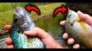 A Tiny But Deadly Fishing Lure That Crappie And Bluegill Can Not Resist [upl. by Imac]