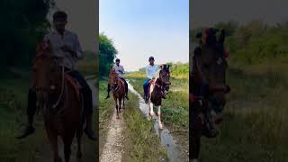 Tajan amp Bavali  river riding  Bhaliya Hiten Chitrasar [upl. by Ahsilrak952]