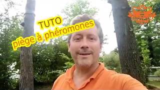 TUTO PIEGES A PHEROMONES CHENILLES PROCESSIONNAIRES pourquoi comment quand on vous répond [upl. by Oremoh]