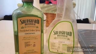 Melaleuca Soluguard Botanical [upl. by Emma]