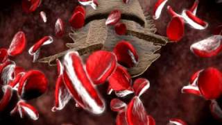 Life cycle of Babesia microti [upl. by Notyard]