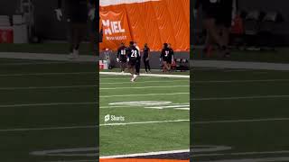 Bengals rookie CB Josh Newton shows off his ball skills Friday at rookie camp [upl. by Va406]