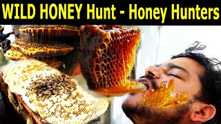 Wild Honey Hunt  Honey Hunters In Nepal  Honey Thats Makes Is rare In World  Rare Honey Hunt [upl. by Ayotnahs]