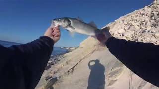 Shore fishing in Cyprus Seabass Lavraki on soft bait  Рыбалка с берега на Кипре лаврак [upl. by Sikleb]