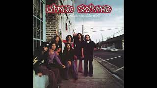 Lynyrd Skynyrd  Simple Man song audio [upl. by Longwood874]