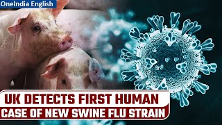 Swine Flu First human case of new strain detected in UK  Public caution advised  Oneindia News [upl. by Melc800]