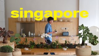 Singapore  Hosting a plant workshop new foods amp exploring the city [upl. by Sucy]