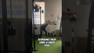 Extensiones de triceps sobre la cabeza en polea [upl. by Iadahs]