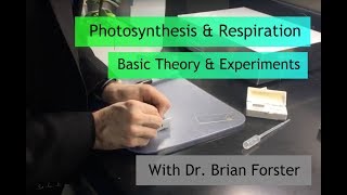 Photosynthesis amp Respiration Basic Theory amp Experiments [upl. by Trenton]