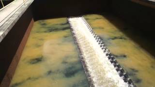 Filter backwash with air and water [upl. by Arramahs]