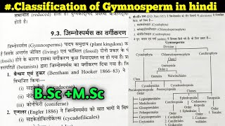 Classification of Gymnosperms  DD pant classification  Chamberlain classification [upl. by Par]