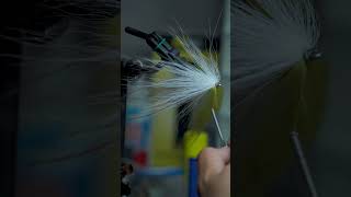 Baja Saltwater Streamer Fly Tying Session 3 [upl. by Akkimat]