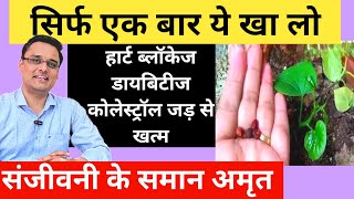 3 दिन में फर्क दिखने लगता हैdiabetes cholesterolheart blockage में चमत्कारी फायदेimmunity बढ़ाए [upl. by Neersan]