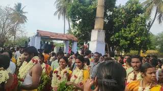 பொன் அறச்சாலை அம்மன் தீமிதி திருவிழா  கங்கனம் கட்டுதல்  தீமிதி ammantemple arachalur kovil [upl. by Dodson890]