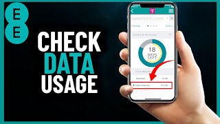 How to Check EE Data Usage  Step by Step 2024 [upl. by Meekar]