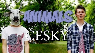 Maroon 5  Animals ČESKY quotZVÍŘATAquot [upl. by Eirrem479]