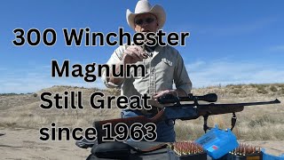 300 Winchester Magnum Still A Great Cartridge Since 1963 Browning BAR [upl. by Custer]