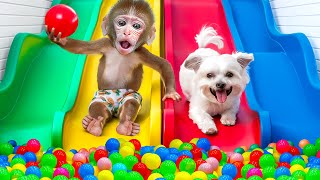 KiKi Monkey swimming at Ball Pit Pool and Rainbow Waterslide with Ducklings  KUDO ANIMAL KIKI [upl. by Nerdna733]