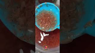 Frozen artemia quality food fish feed quality frozen malayalam farm breeding growth guppy [upl. by Abeu]