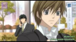 AinoF Junjou Romantica OP2 AMV  Shoudouavi [upl. by Akinajnat]