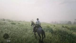 Red Dead Redemption 2 Ambience Hunting Bison in the Heartlands and Cooking Prime Beef for Dinner [upl. by Ilarrold811]