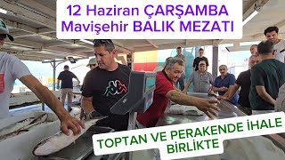 KURBAN ÖNCESİ MAVİŞEHİR BALIK MEZATINDA BALIK TA MÜŞTERİ DE AZDI BUGÜN [upl. by Aileme]