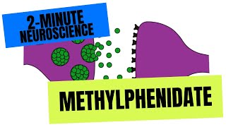 2Minute Neuroscience Methylphenidate [upl. by Yatnoj276]