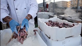 Fried Fish and Seafood Olbia Sardinia Street Food Festival Italy [upl. by Arev674]