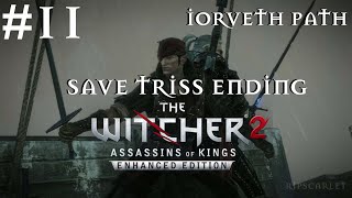 Save Triss Ending  The Witcher 2 Assasins of Kings  Iorveth Path All Cutscene part 11 [upl. by Enatan]