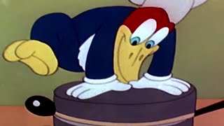 Whos Cookin Who  Woody Woodpecker  Full Episode Compilation  Old Cartoons  Retro Bites [upl. by Airdni101]