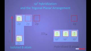 Formation of Boron trichloride molecule [upl. by Maccarone]