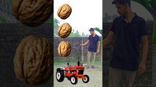 Rounding walnut to Alto Rollar Jcb amp Tractor  Vehicles names magic video [upl. by Aicenert]