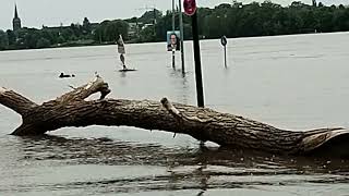 Hochwasser in Mondorf [upl. by Evol]