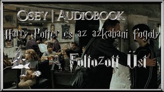 Harry Potter és az azkabani fogoly hangoskönyv remake  4 fejezet [upl. by Llydnek]