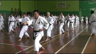 Junro Nidan Kato Ryu Kata [upl. by Gennifer33]