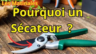 Tout Ce Que Vous Devez Savoir sur lUtilisation dun Sécateur au Jardin [upl. by Dawna]