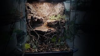 Cliff Face Background Vivarium Build DIY [upl. by Siddon]