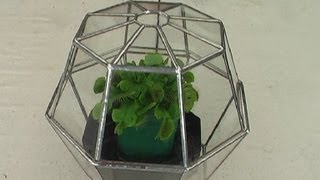 Build a stained glass terrarium using the copper foil technique [upl. by Acquah241]