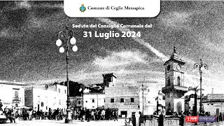 Consiglio Comunale del 31 Luglio 2024  Diretta Streaming [upl. by Lesirg792]