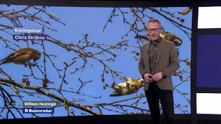 RTL Weer woensdag 13 februari 2019 1500  RTL WEER [upl. by Ani]