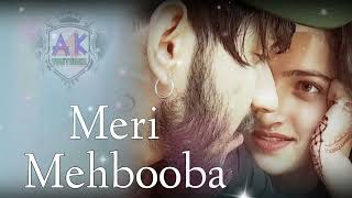 video MERI MAHBUBA SONG ❤️ LOVE SONG 🥰NON STOP SONG NCS [upl. by Itsuj]