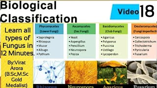 Types of fungus classification of fungiphycomycetesascomycetesbasidiomycetesdeuteromycetesNEET [upl. by Lorine]