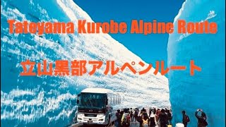 Tateyama Kurobe Alpine Route  立山黒部アルペンルート [upl. by Chader]